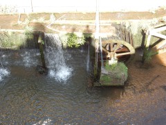 2024.22.aug.camping-saarburch.DSCN0239