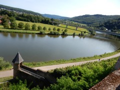 2024.22.aug.camping-saarburch.DSCN0246