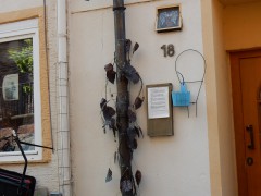 2024.22.aug.camping-saarburch.DSCN0295