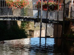 2024.22.aug.camping-saarburch.DSCN0301