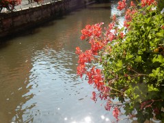 2024.22.aug.camping-saarburch.DSCN0302