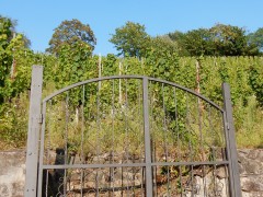 2024.22.aug.camping-saarburch.DSCN0311