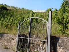 2024.22.aug.camping-saarburch.DSCN0312