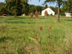 2024.22.aug.camping-saarburch.DSCN0333