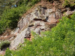 2024.28.aug.trier.gezicht.DSCN0602