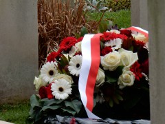 oosterbeek.10-11-2024.DSCN9906