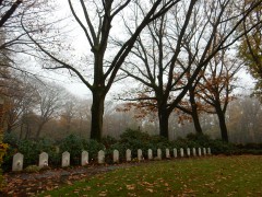 oosterbeek.10-11-2024.polen.DSCN9838