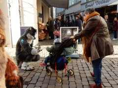 2024.oldenburg.kattengroep.DSCN5639