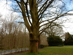 2024.varel.boom.DSCN5536