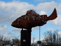 2024.varel.haven.DSCN5538