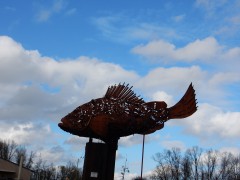 2024.varel.haven.DSCN5539