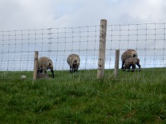 2024.varel.haven.schaap.DSCN5554