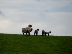 2024.varel.haven.schaap.DSCN5558