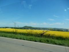 2025.27april.maria-laach.route.DSCN1976